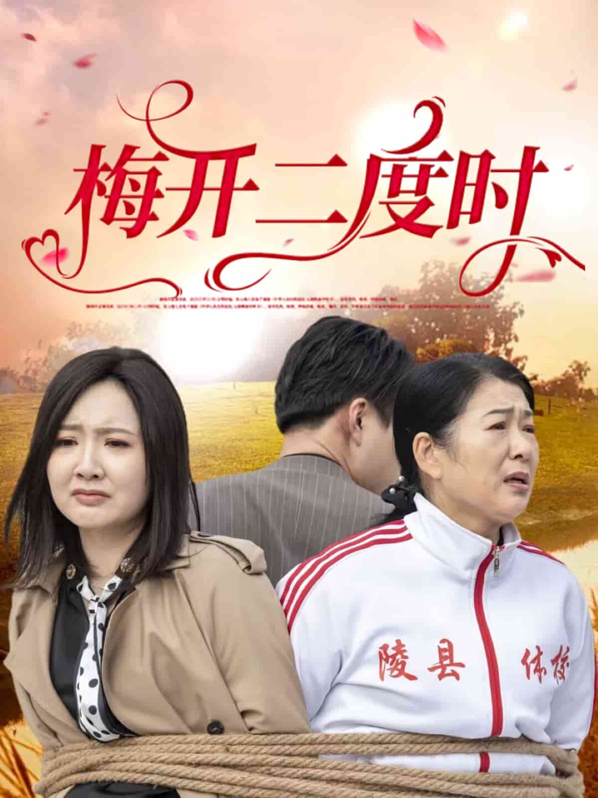 梅開二度時海報