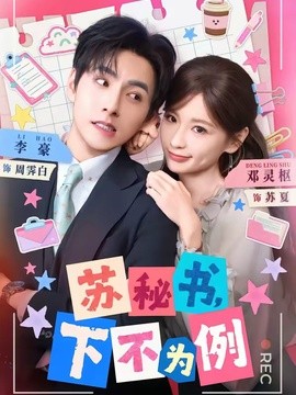 蘇秘書,下不為例海報
