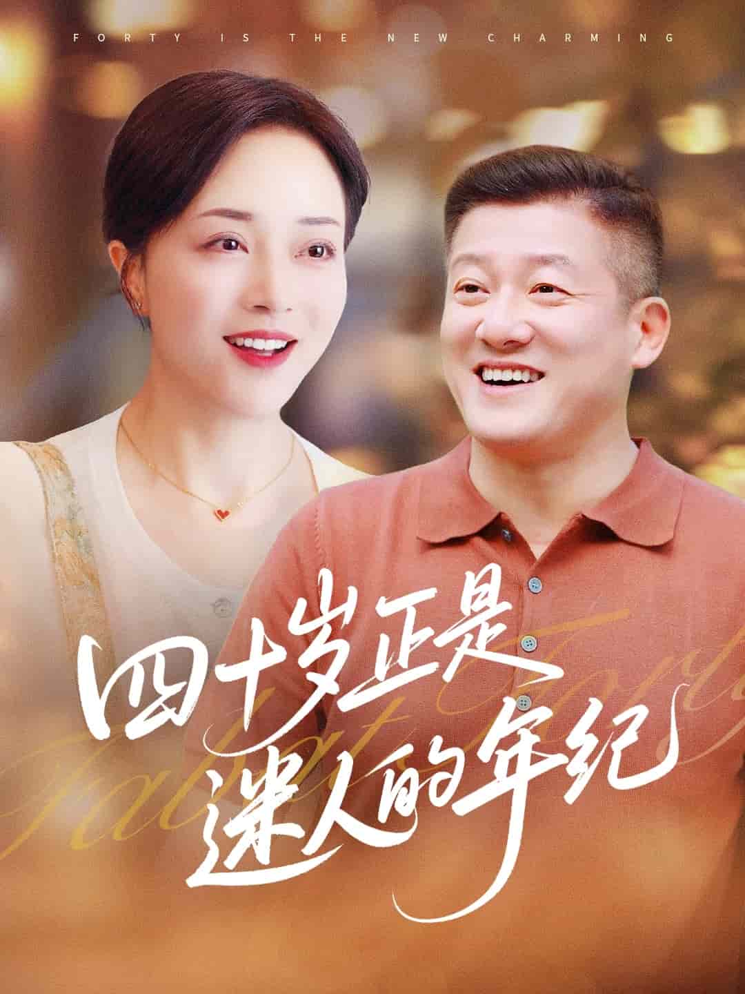 四十歲正是迷人的年紀海報
