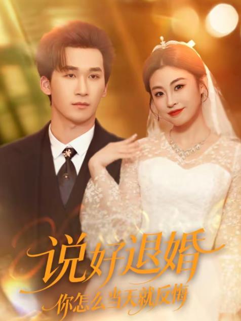 說好退婚你怎麼當天就反悔海報