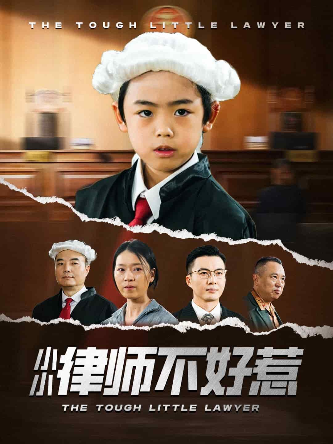 小小律師不好惹海報