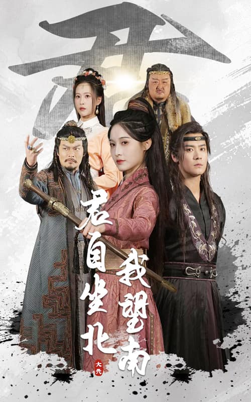 我自迎風向故里海報