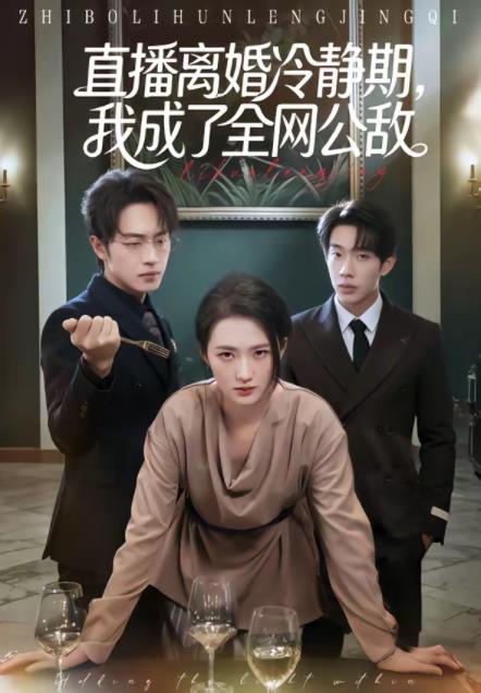 直播離婚冷靜期,我成了全網公敵海報