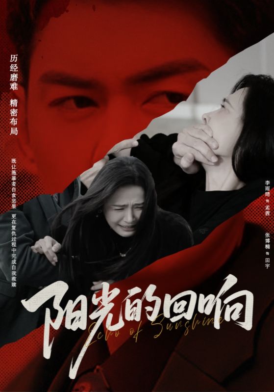 陽光的迴響海報