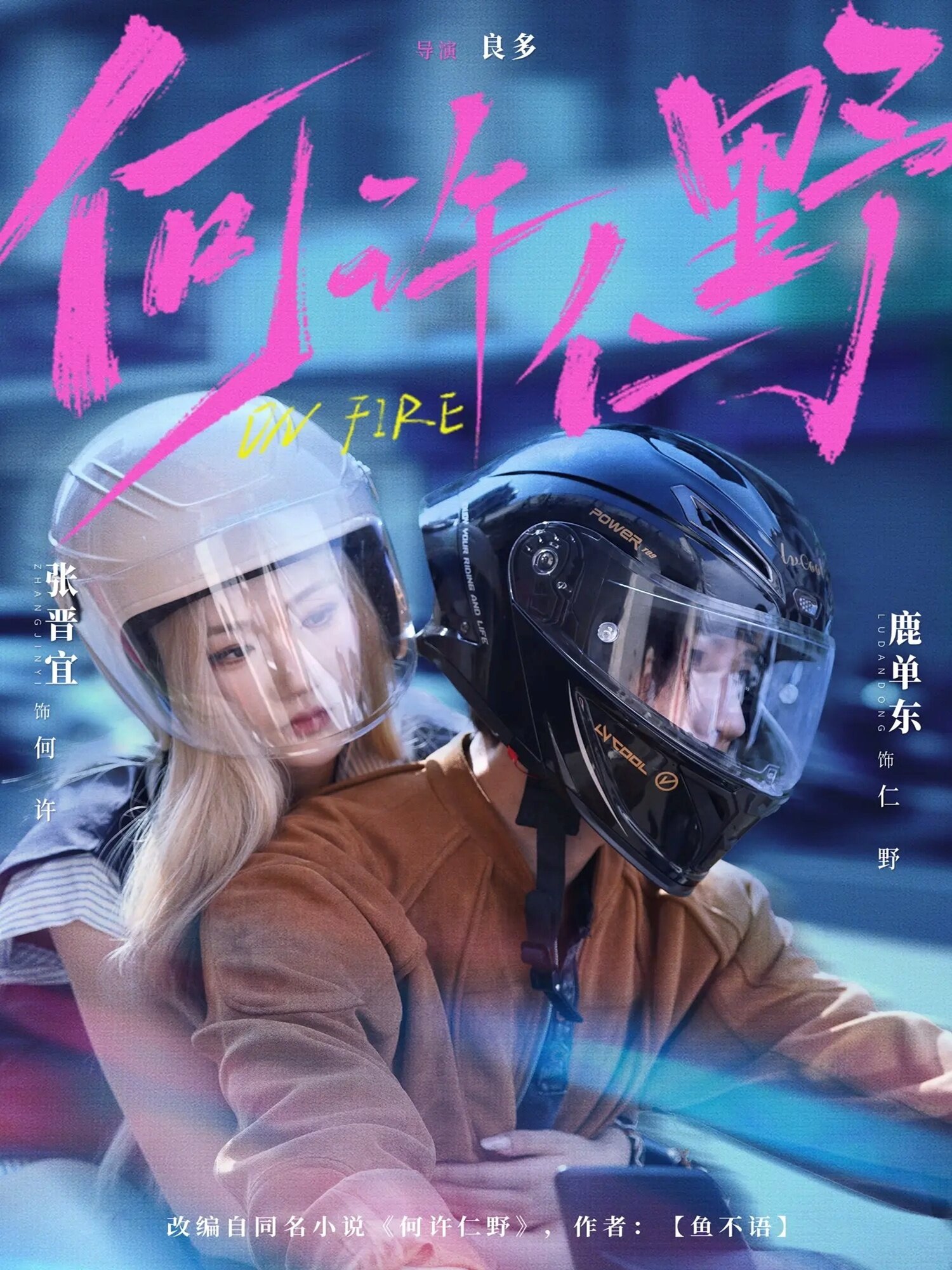 何許仁野海報