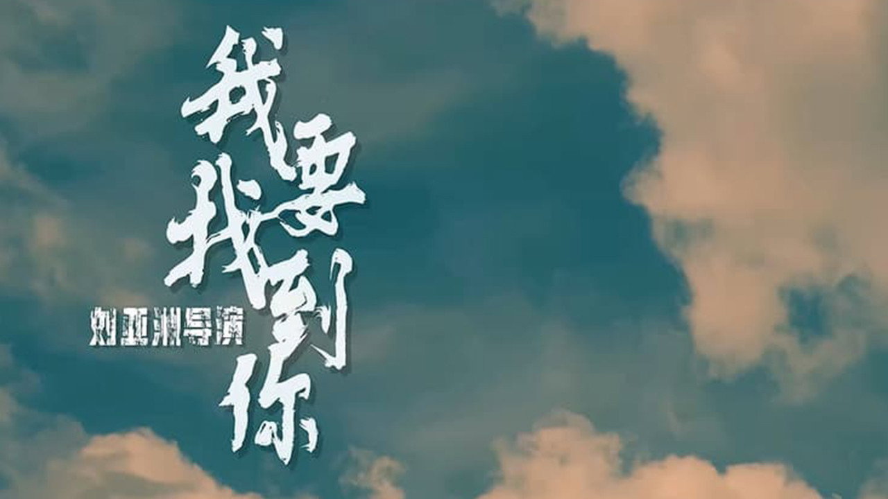 我要找到你劇照