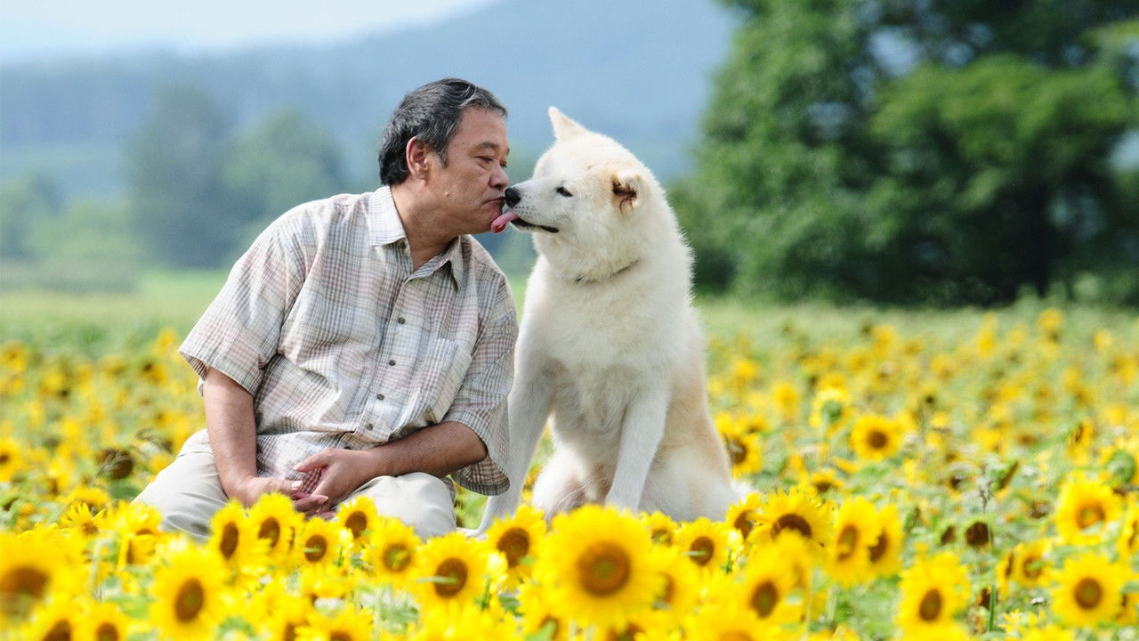 星星守護犬劇照