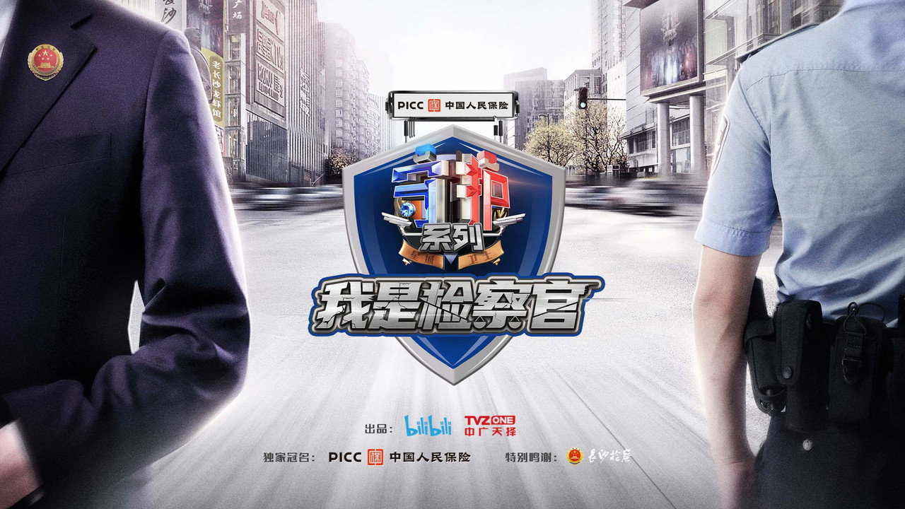守護解放西番外：我是檢察官劇照