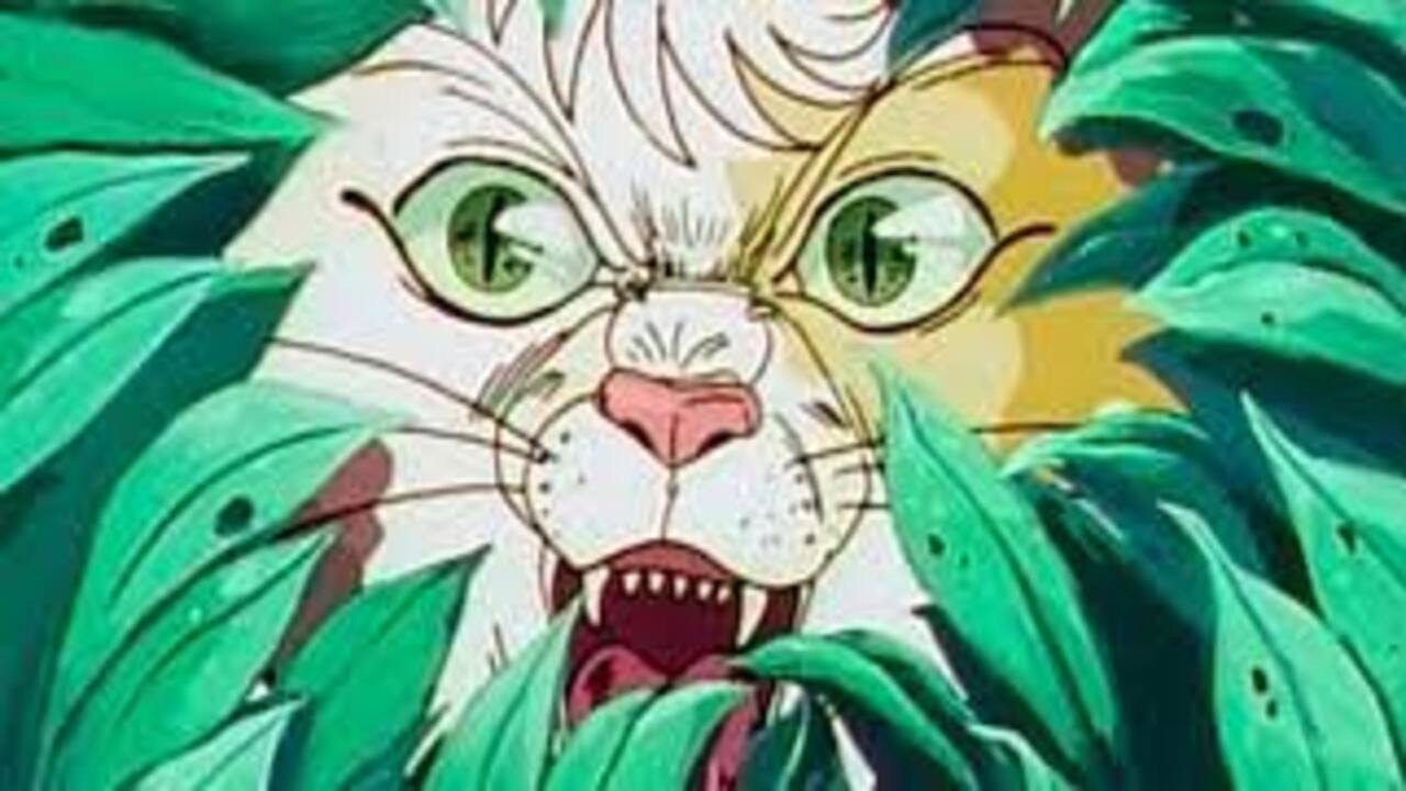 暗黑之猫劇照