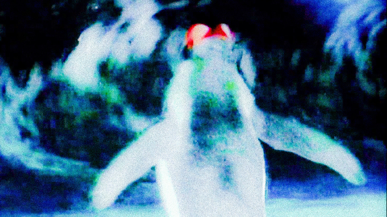 我們的音樂劇照