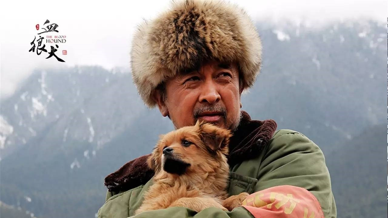 血狼犬劇照
