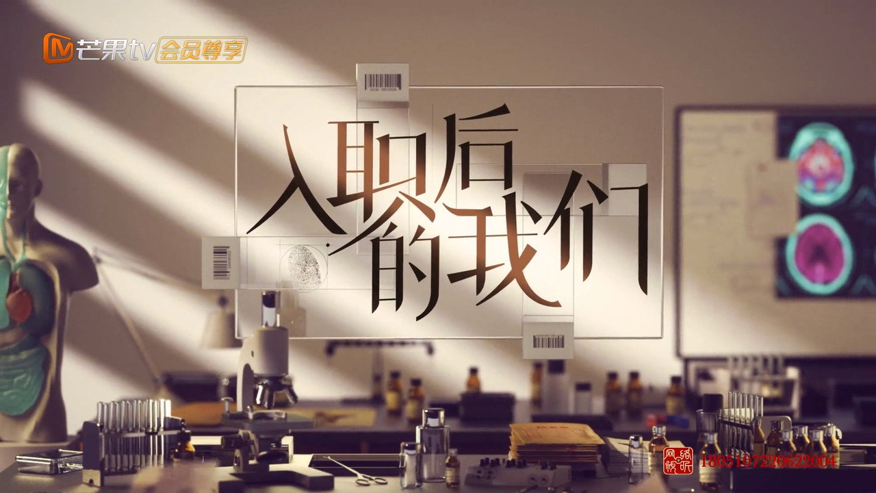 入職後的我們劇照