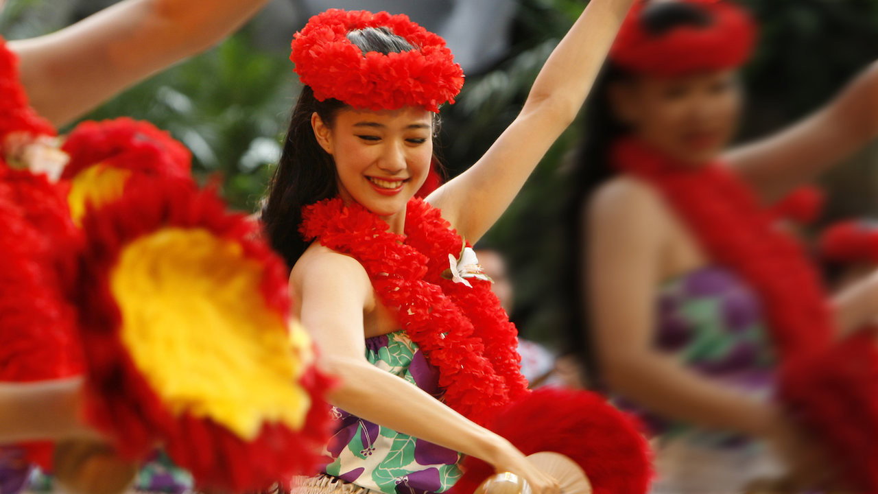 扶桑花女孩劇照