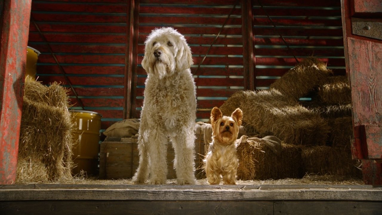 萌犬好聲音劇照