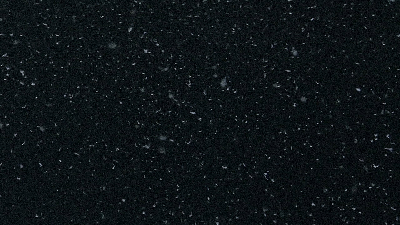 生死戀劇照