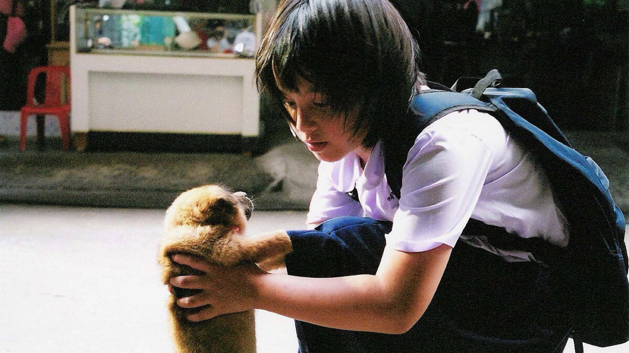 小犬與女孩劇照