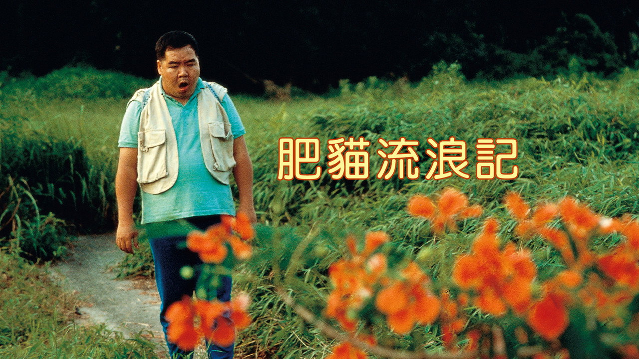 肥貓流浪記劇照