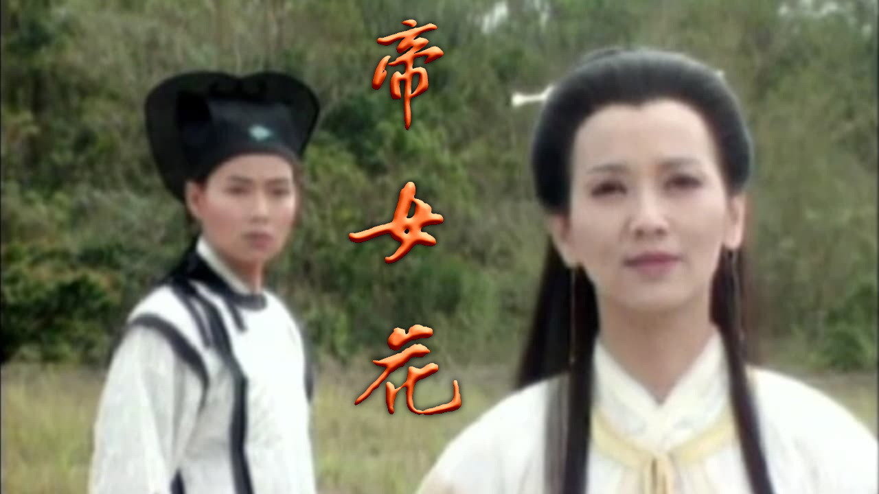 亂世不了情劇照