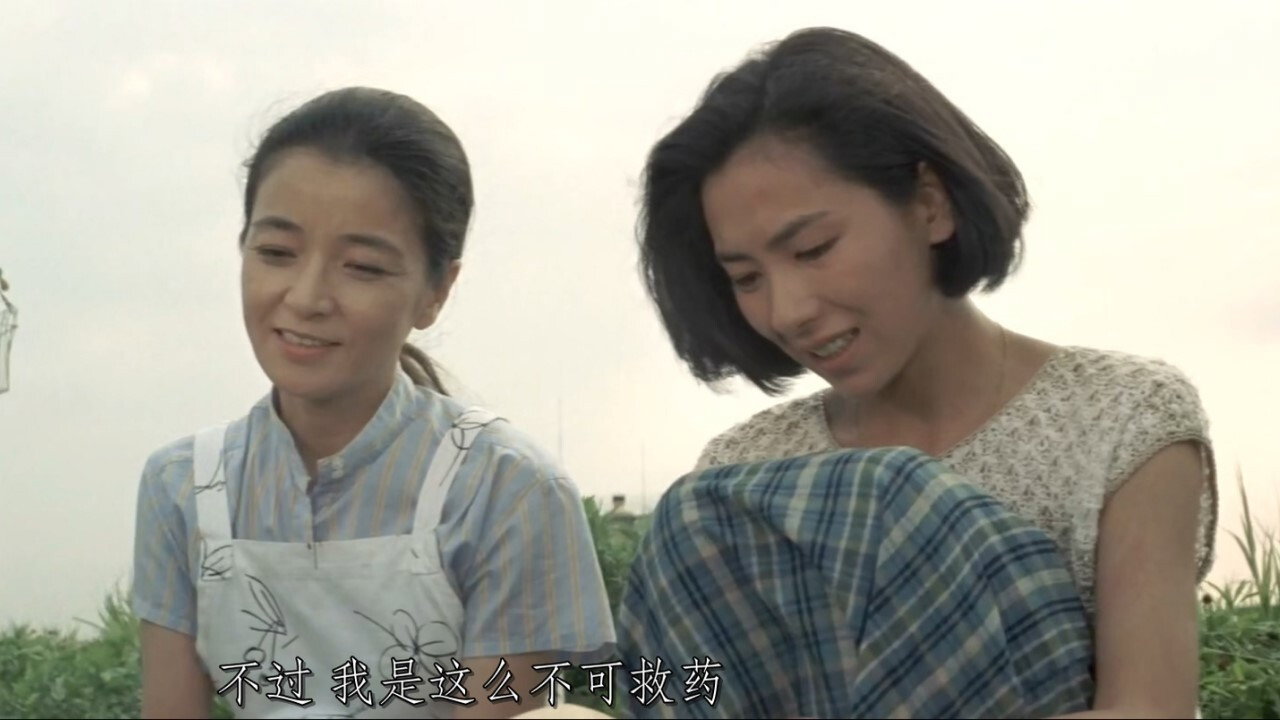 寅次郎的故事33：夜霧中的寅次郎劇照