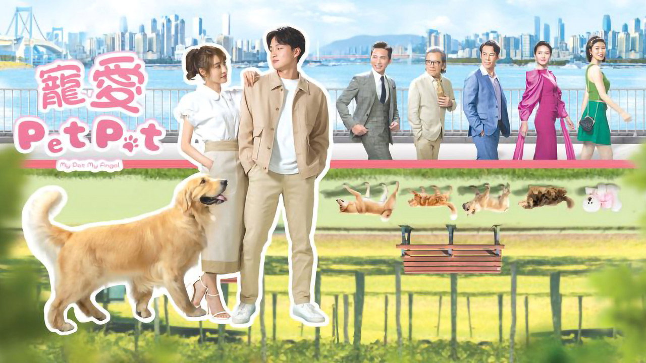 寵愛Pet Pet劇照