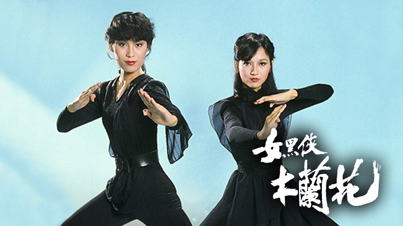 女黑俠木蘭花劇照