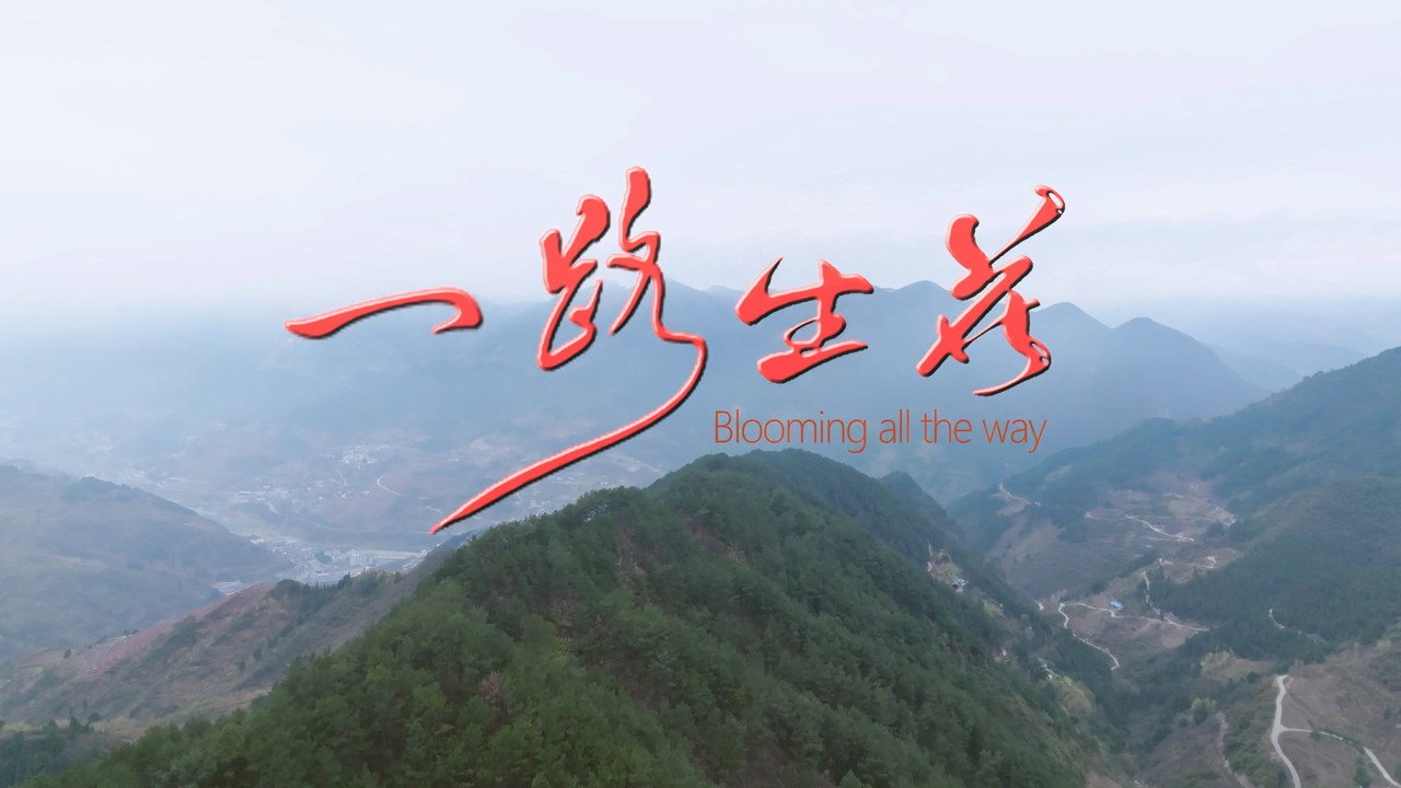 一路生花劇照