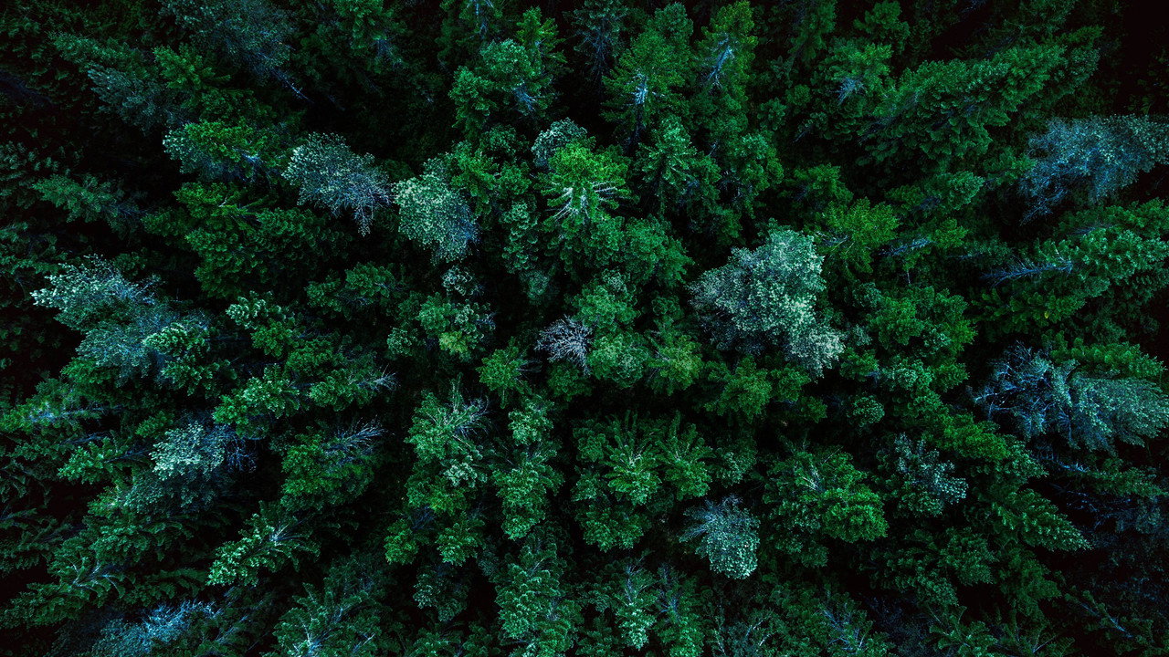 寧靜的世界劇照