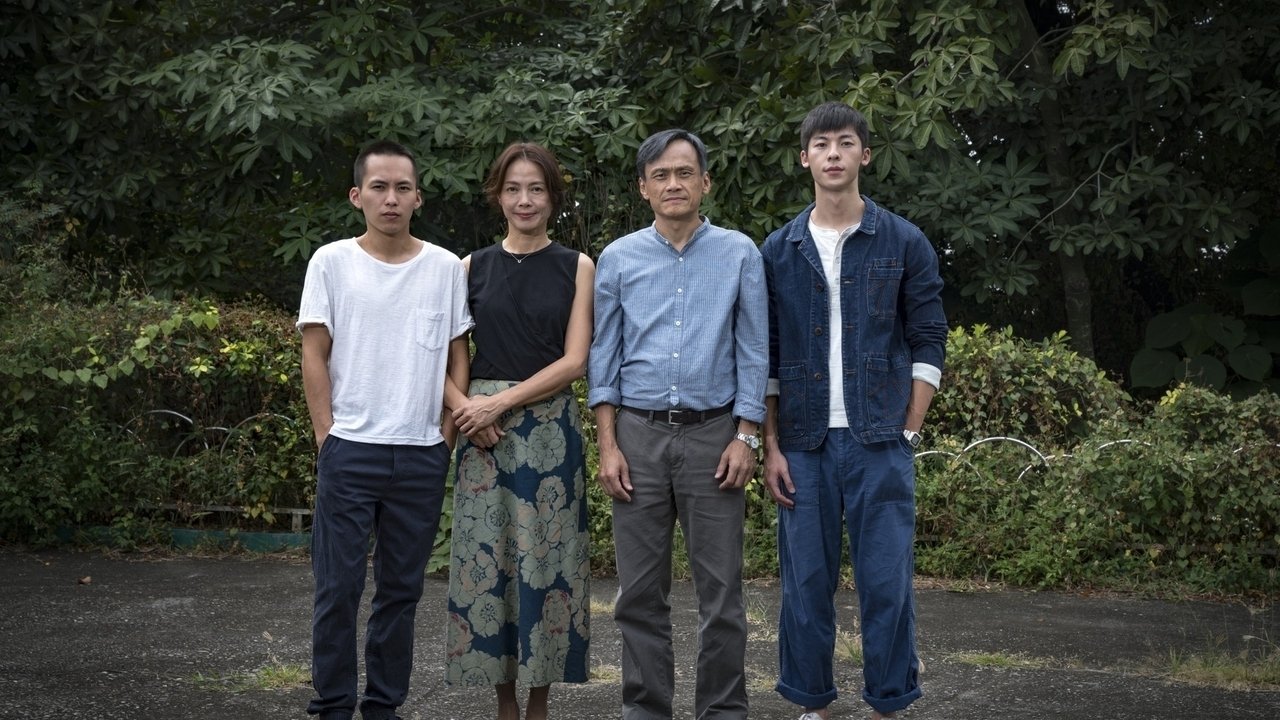 陽光普照劇照