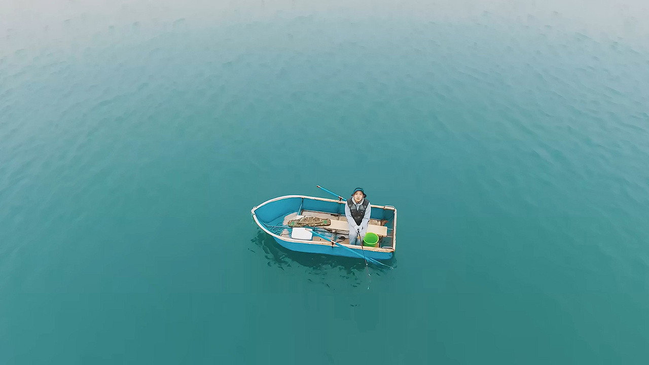 海帶劇照