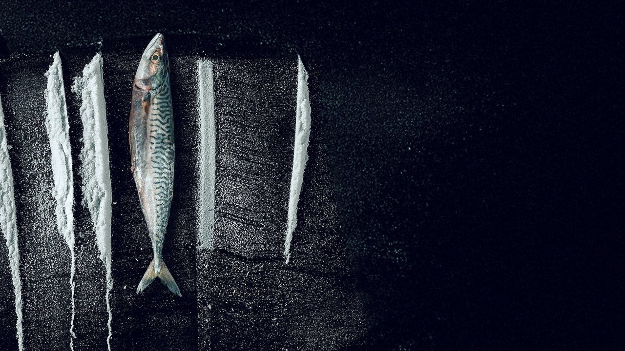 毒海狂濤：魚尾村離奇事件劇照