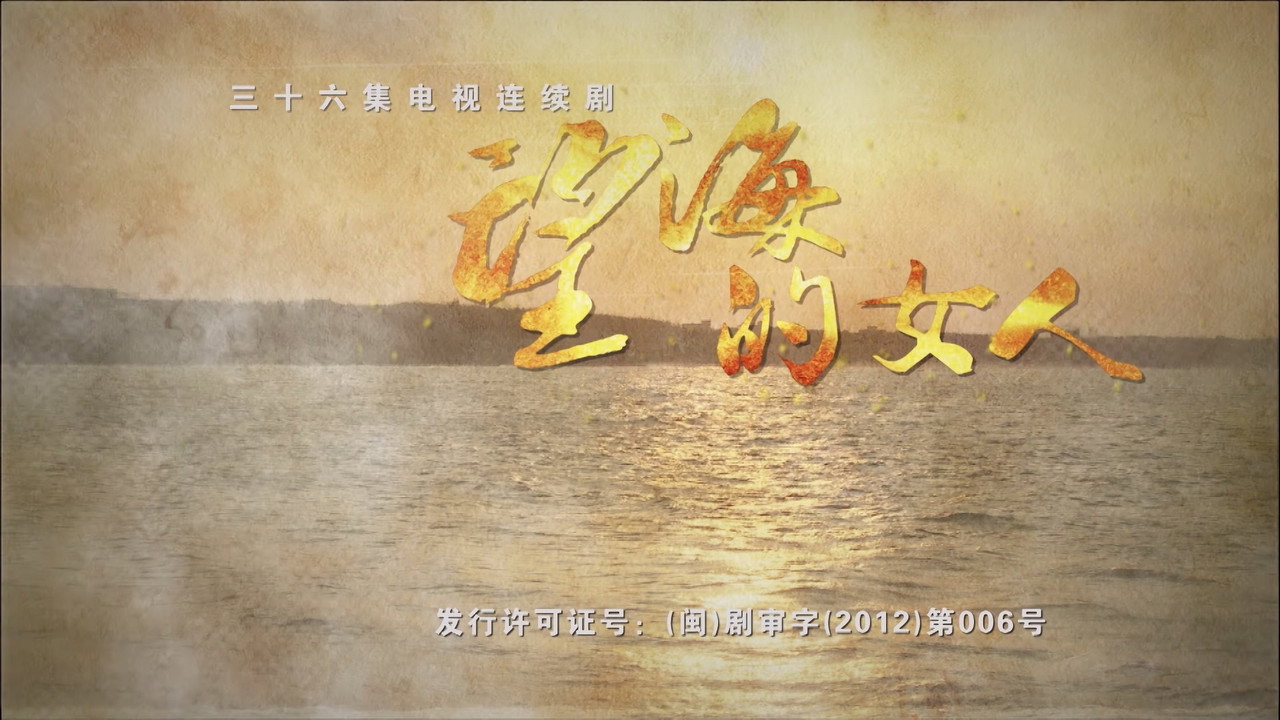 望海的女人劇照