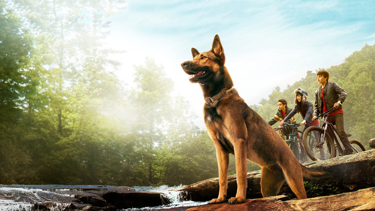 海軍忠犬馬克斯劇照
