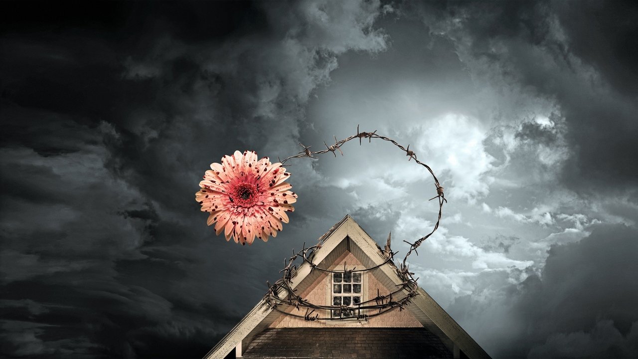 風中的花瓣劇照