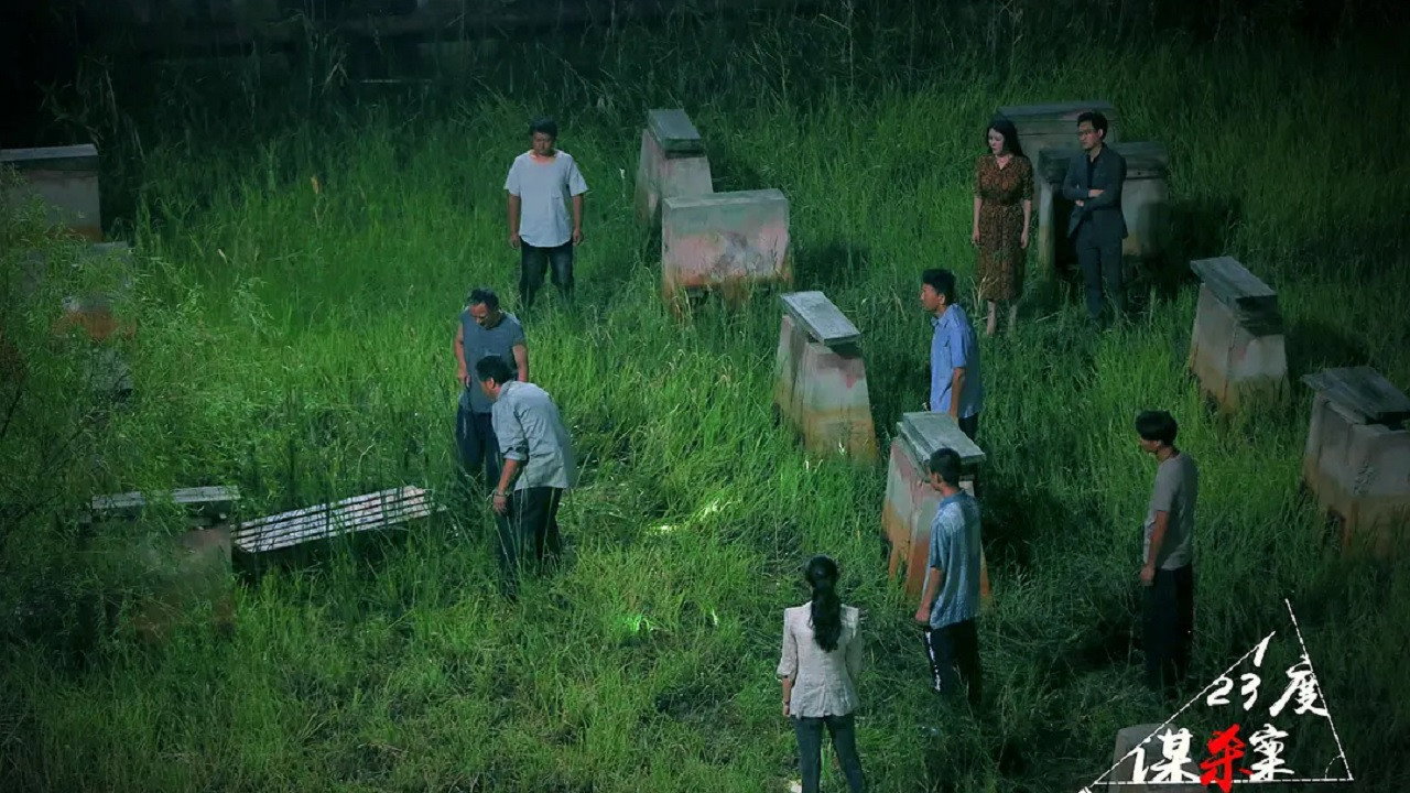 123度謀殺案劇照