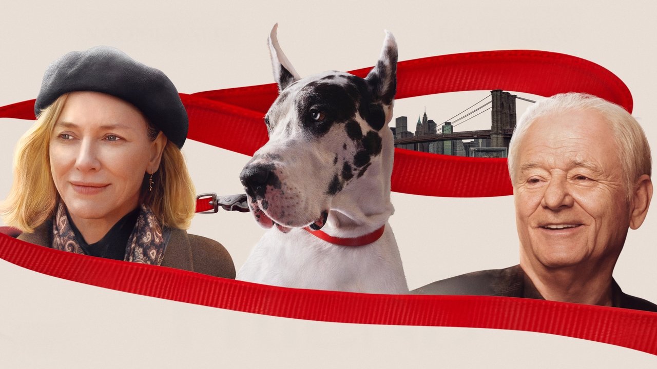 老朋友劇照