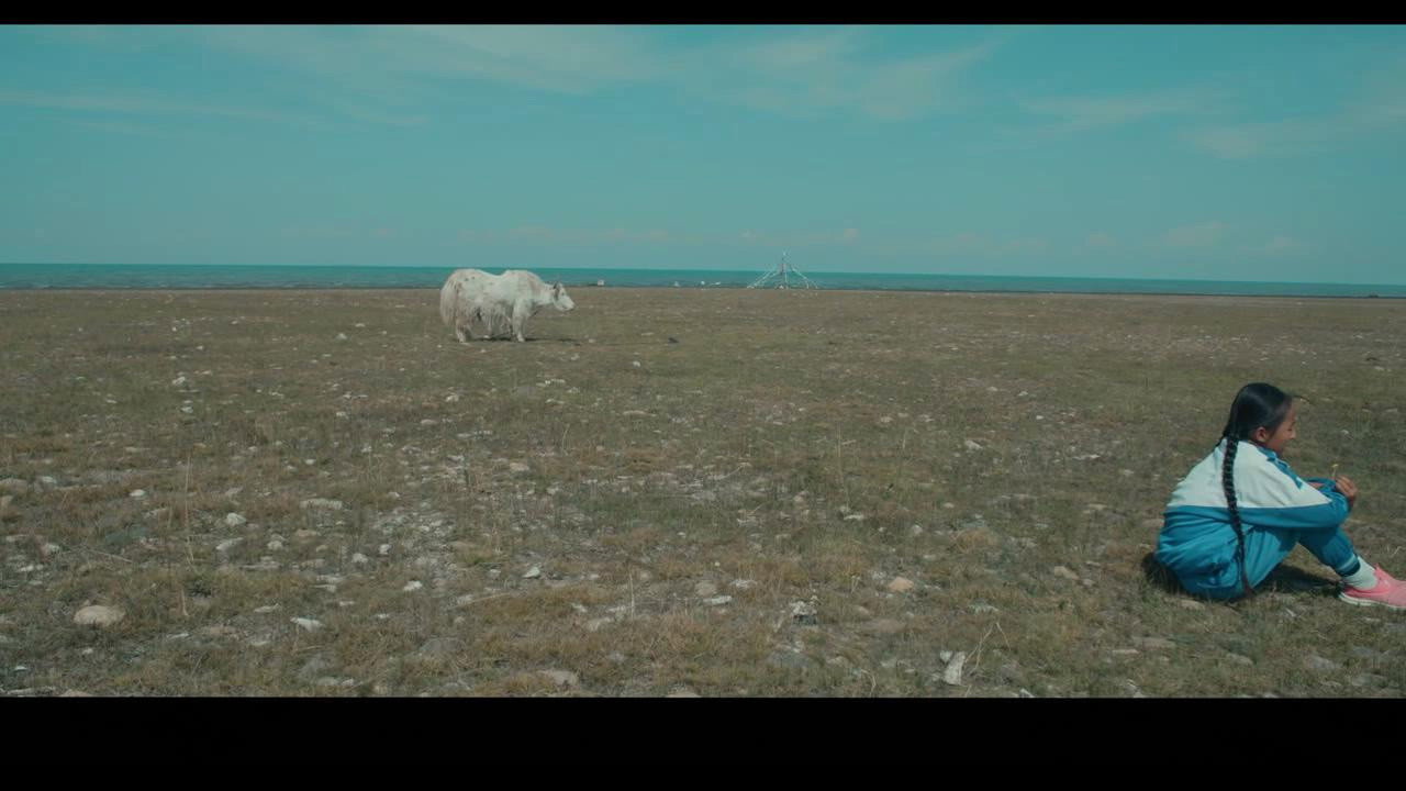 白犛牛劇照