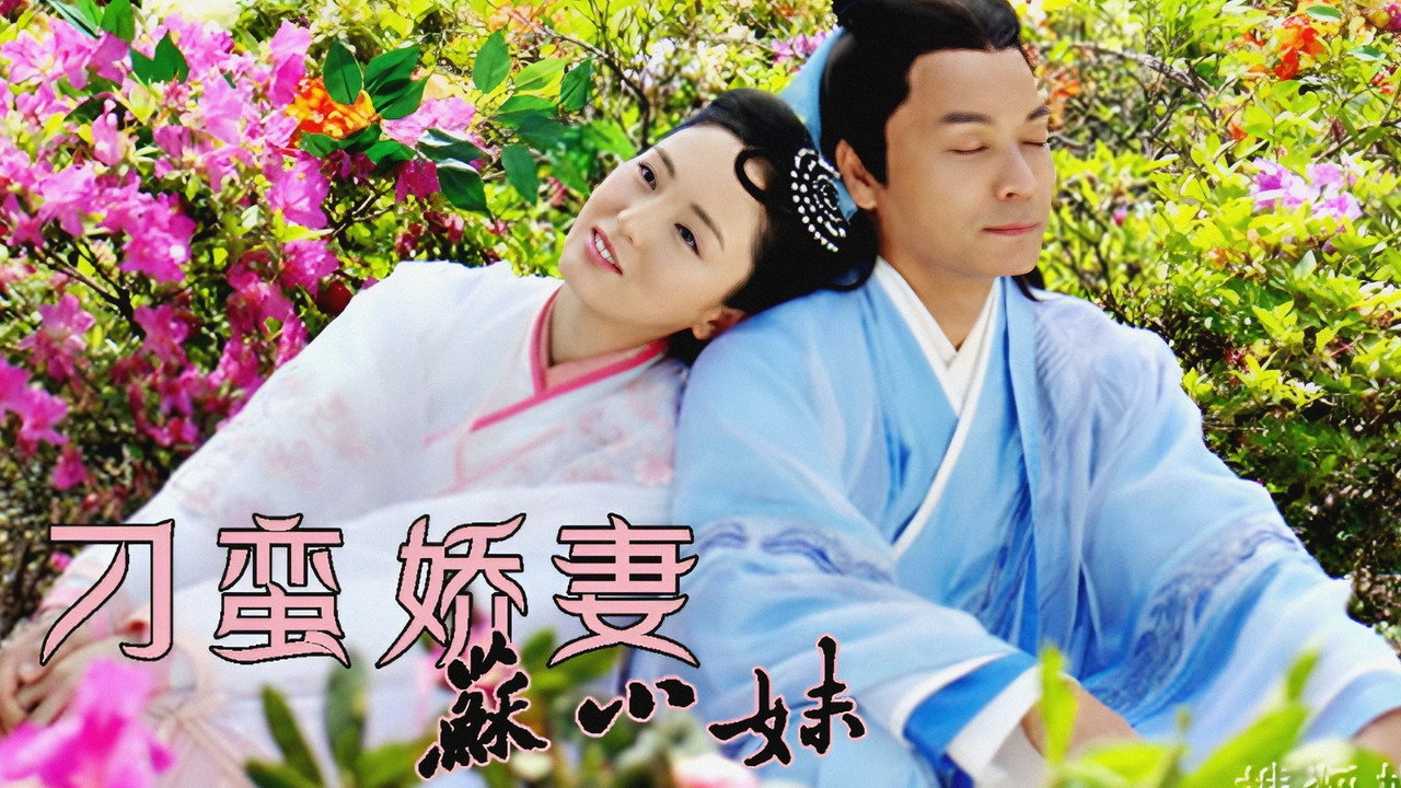 刁蠻嬌妻蘇小妹劇照