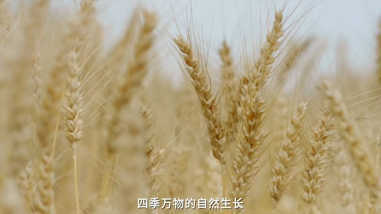 如此有面劇照