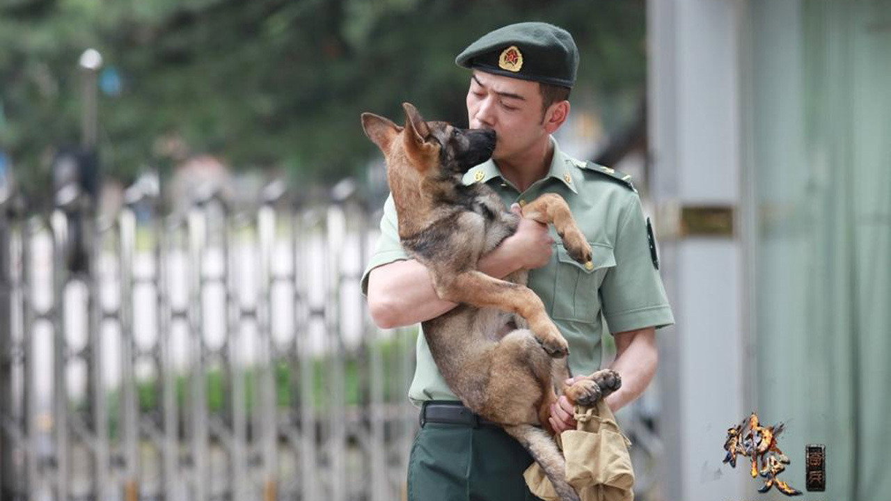 神犬奇兵劇照
