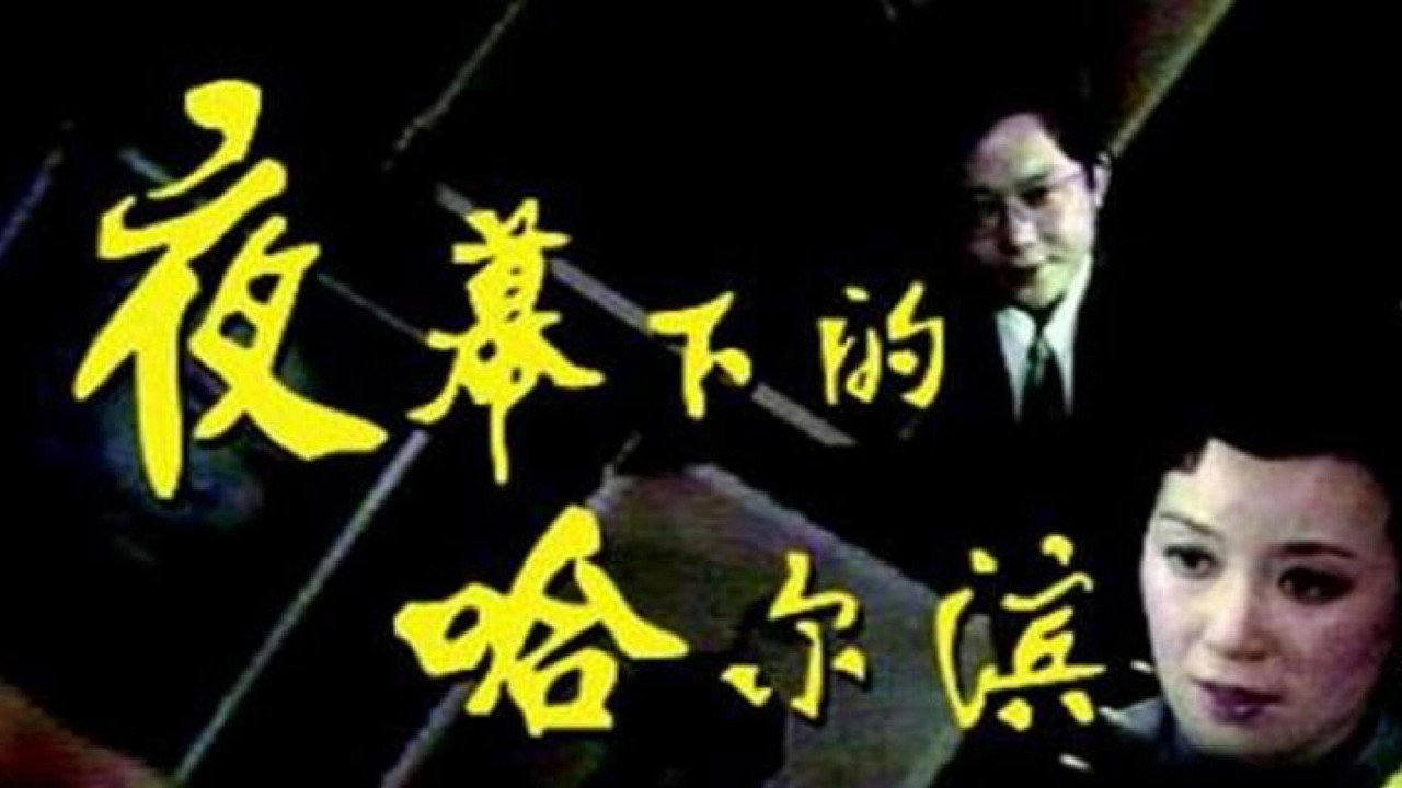 夜幕下的哈爾濱劇照