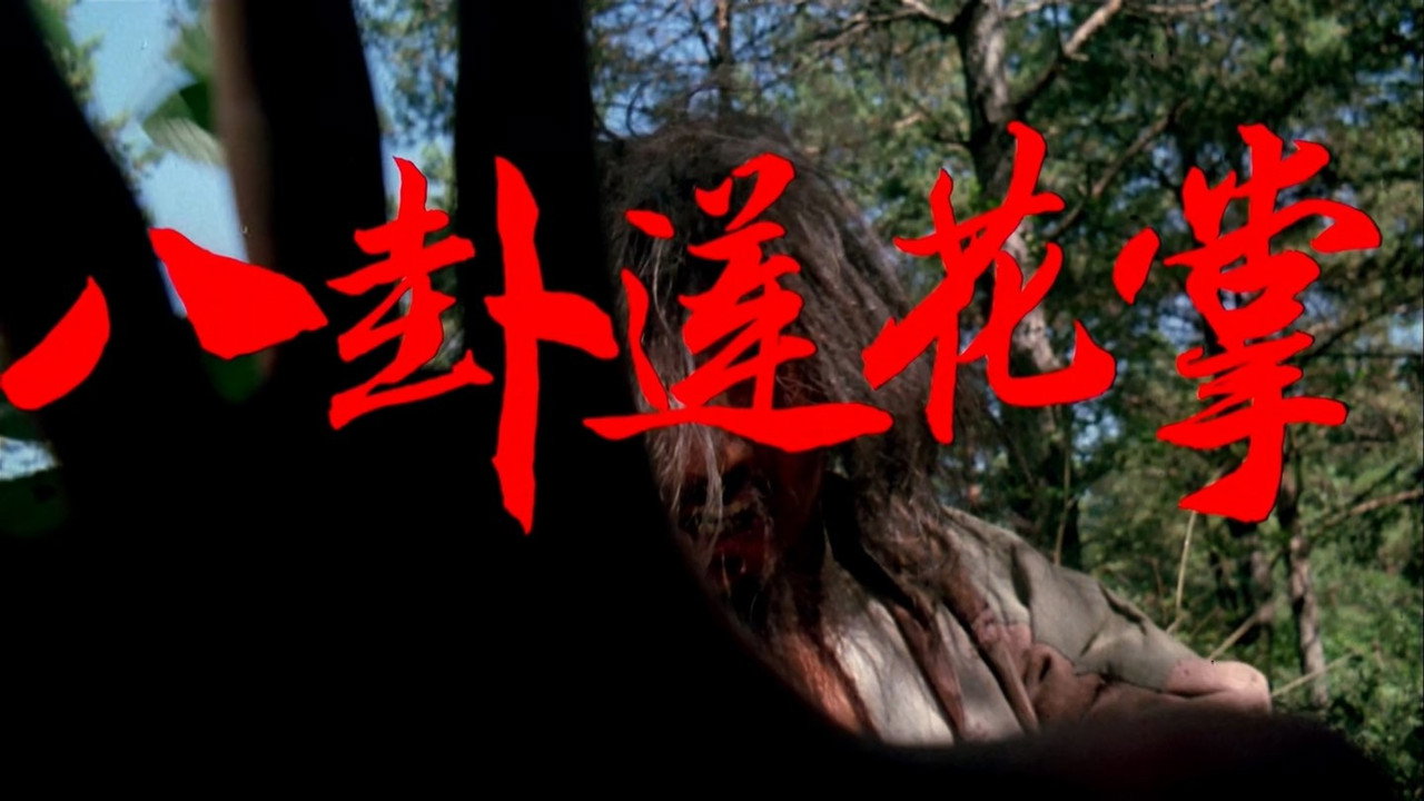 八卦蓮花掌劇照