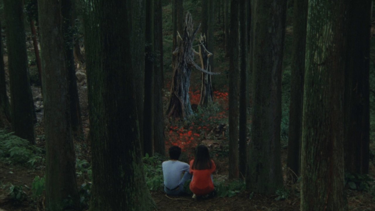八月狂想曲劇照