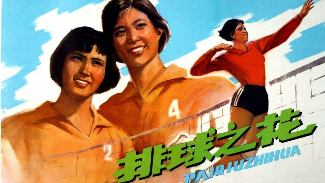 排球之花劇照