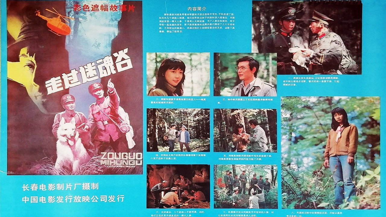 走過迷魂谷劇照