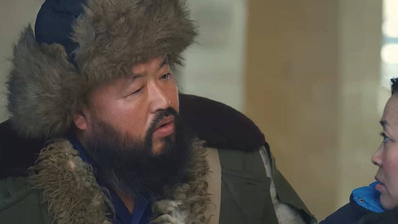 寶哥的煩惱劇照