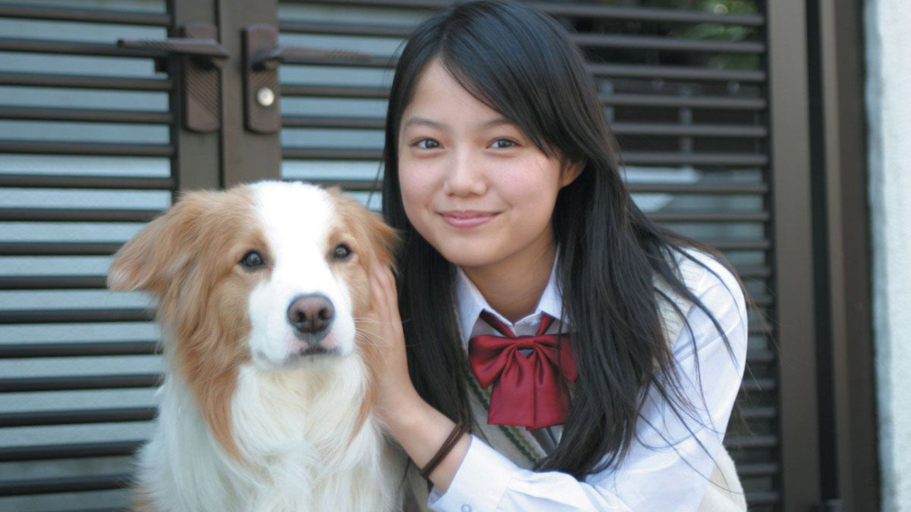 狗狗心事劇照
