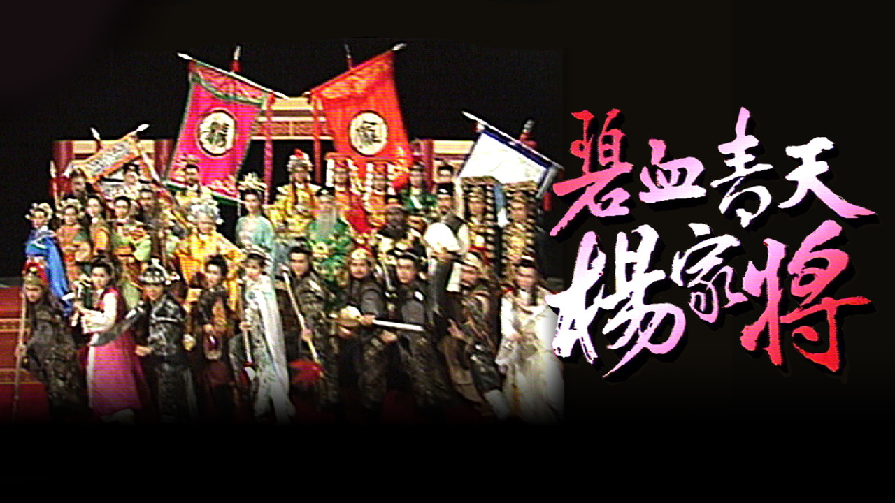 碧血青天楊家將劇照