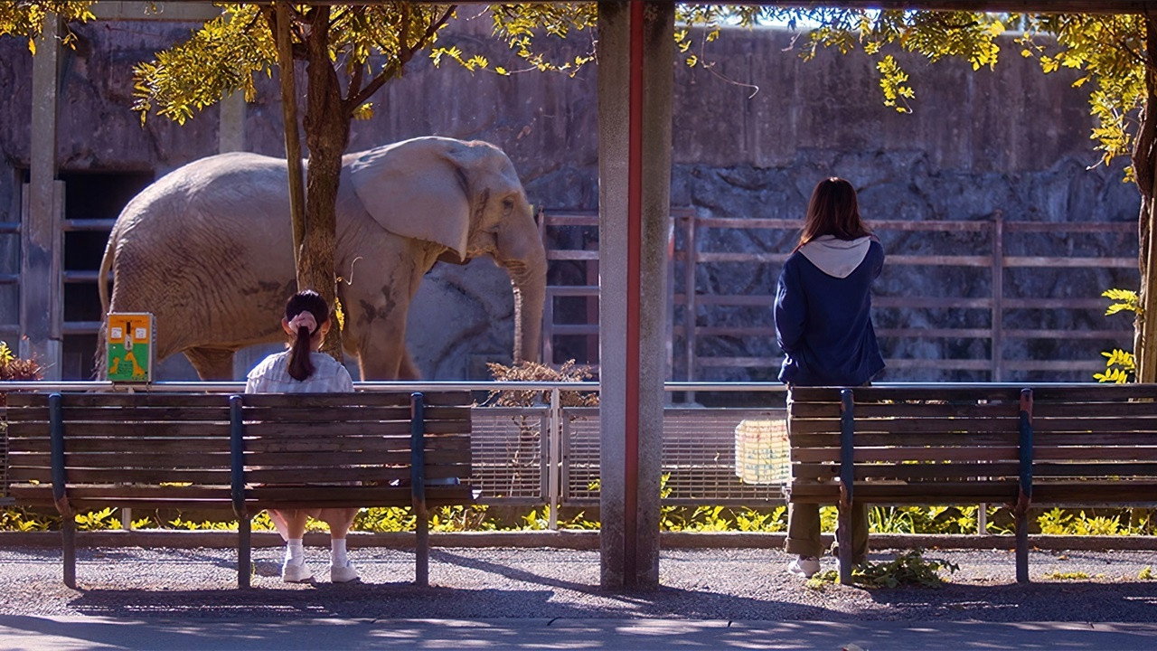 動物園的兩人劇照