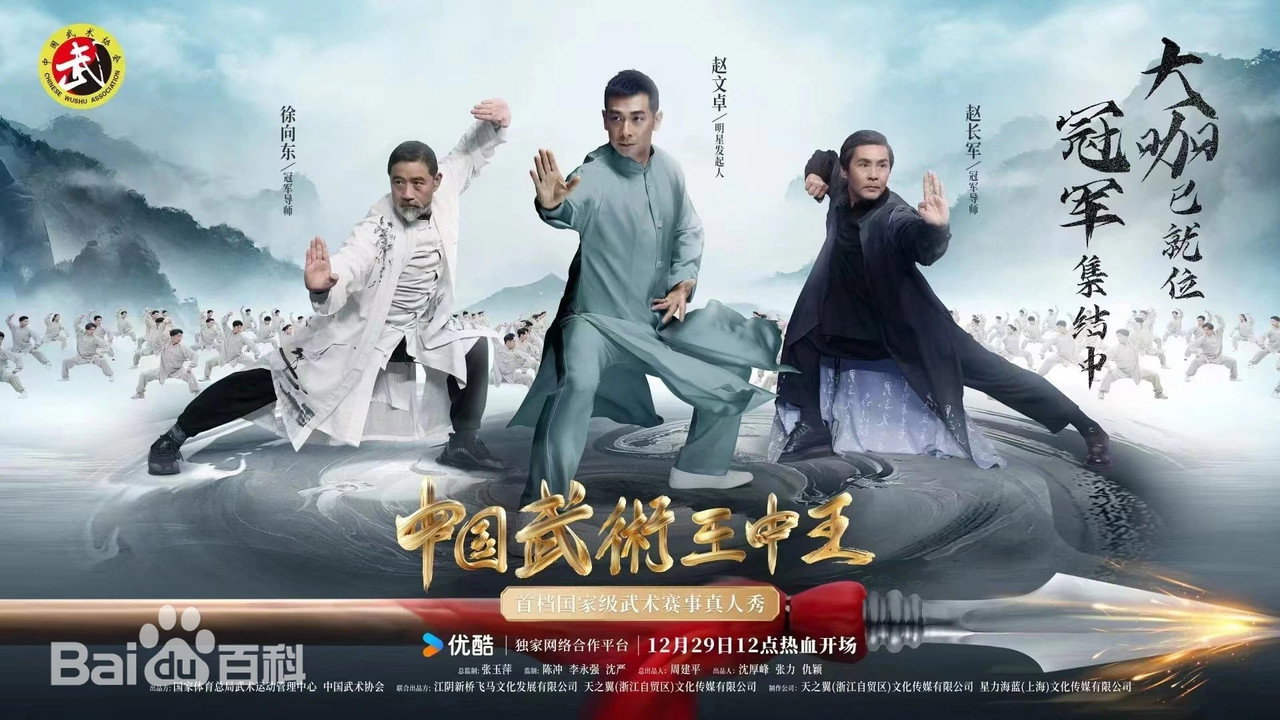 中國武術王中王劇照