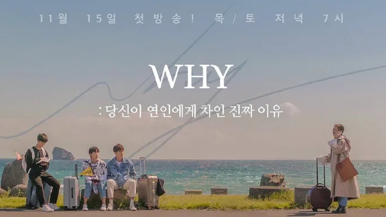 WHY:你被戀人甩的真正理由劇照